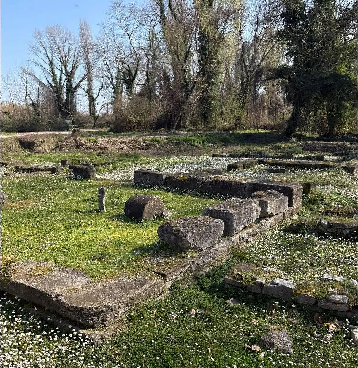 0f38581b 213e 4895 9db9 84e7ff7e65cb 1206 1240